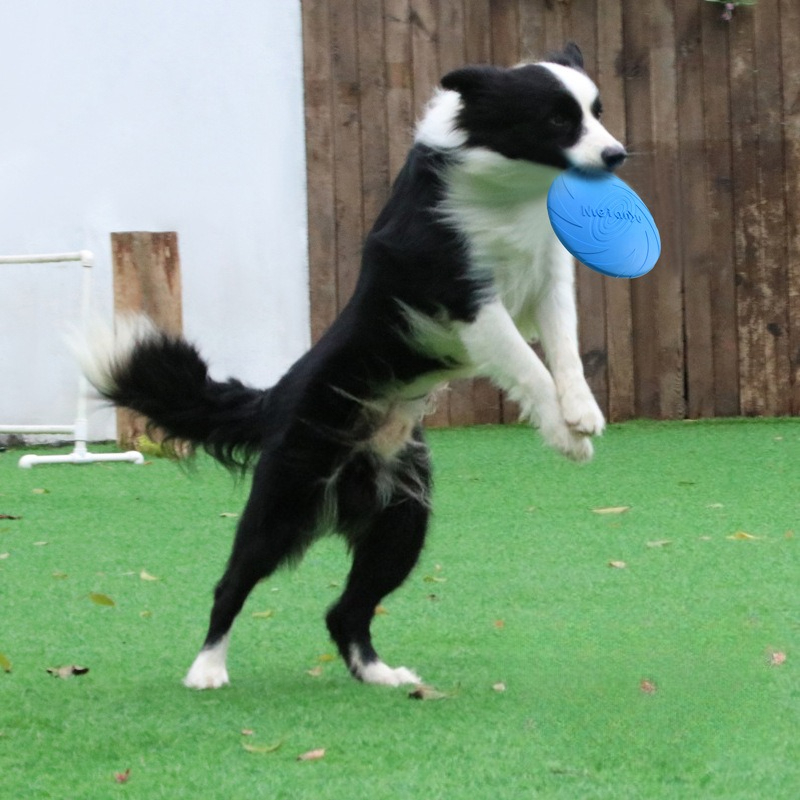 Frisbee Freestyle Disc - Köpek Frizbi, Sınır Köpekleri İçin Özel