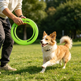 Frisbee Freestyle Disc - 1 adet dayanıklı içi boş halka