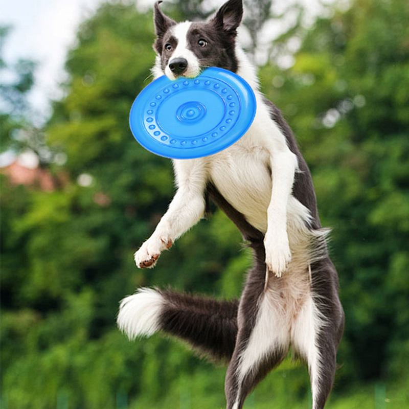 Frisbee Freestyle Disc - Dayanıklı Çiğnenebilir Evcil Hayvan Eğitim Frizbi