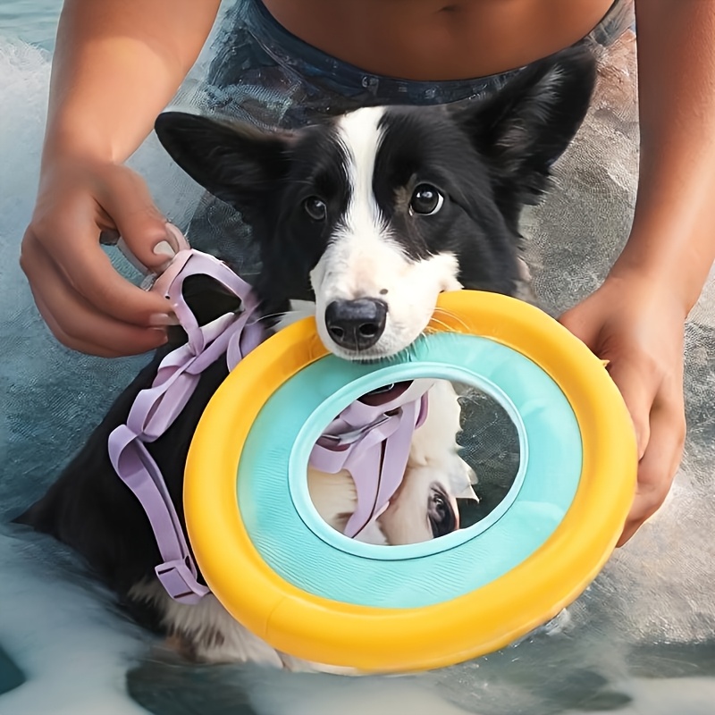 Yüzen Köpek Frizbi, Orta Boy K - Frisbee Freestyle Disc incelemesi ve fiyatı