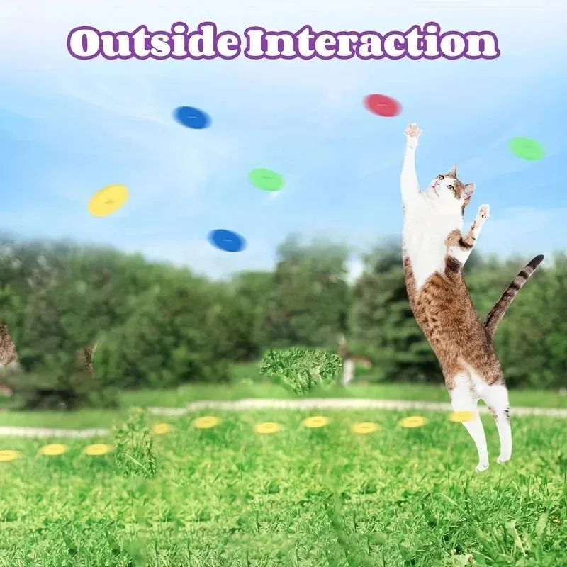 Komik Kedi Oyuncakları Yaratıc - Frisbee Freestyle Disc incelemesi ve fiyatı