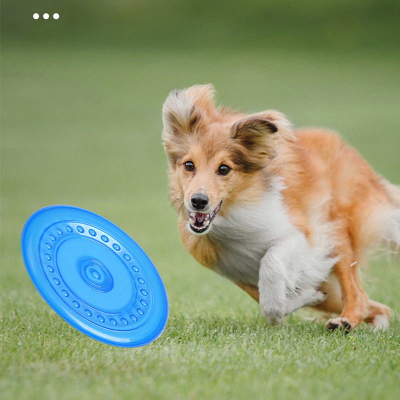 Dayanıklı Çiğnenebilir Evcil H - Frisbee Freestyle Disc incelemesi ve fiyatı