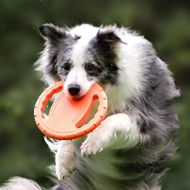 Dayanıklı Köpek Uçan Disk Oyun - Frisbee Freestyle Disc incelemesi ve fiyatı
