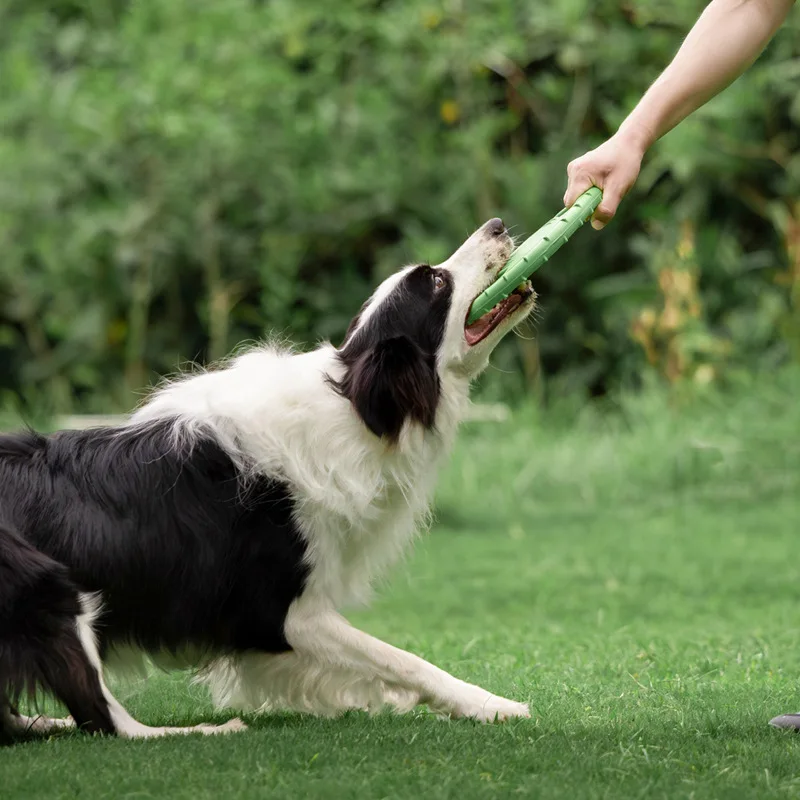 Dayanıklı Köpek Uçan Disk Oyun - Frisbee Freestyle Disc incelemesi ve fiyatı